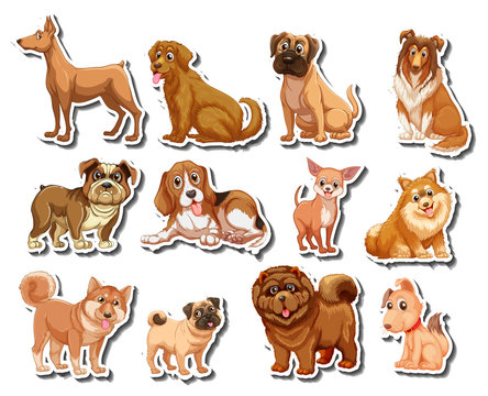 Stickers of different kind of dogs
