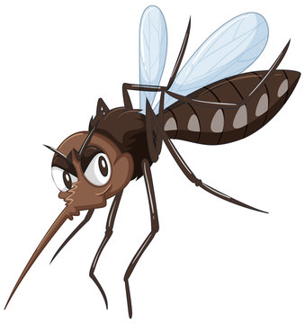 Mosquito in brown color