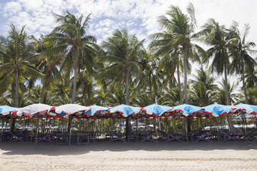 Coconut trees ,umbrellas and chairs in the beach in Thailand