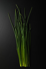 Fresh green chives on dark board
