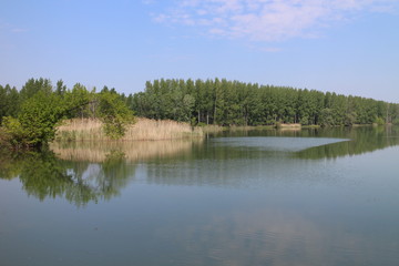Fototapeta na wymiar River arms in Bodíky, Danube river, Slovakia