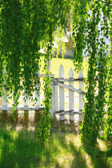 Obraz premium View of white wooden gate through the branches of birch