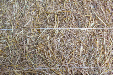 background stack  of dried straw