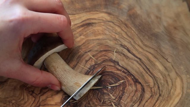 ein Pilz wird in viele Teile geschnitten