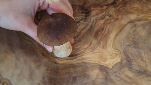 ein Pilz wir mit einer Pilzb&uuml;ste geputze