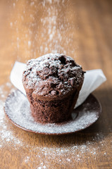 Chocolate muffin with powdered sugar