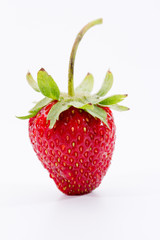 strawberries on white background