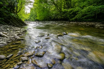 Selbstklebende Fototapete Waldfluss river with stones on shores anmong the forest