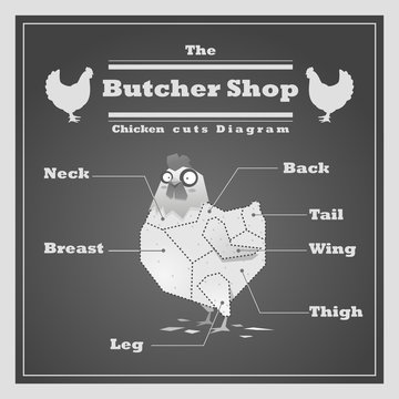 Chicken cuts diagram Butcher shop background, vector, illustration