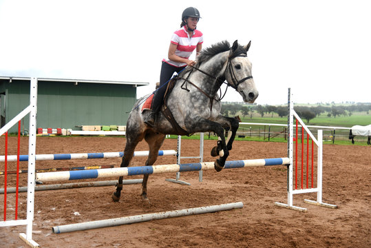 female show jumper