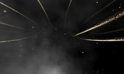 Microscopic Hair Fibers