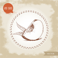 Hand drawn sketch style quarter of peach fruit. Vintage eco food vector illustration. Grunge background.
