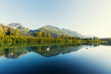 Fototapeta premium Mountains in Alaska