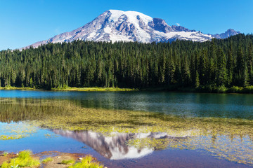 Mt.Rainier