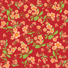 Orange flower on red background