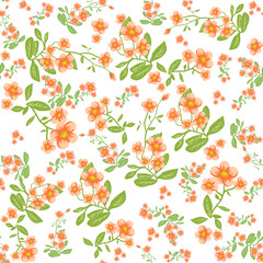 Orange flower on white background
