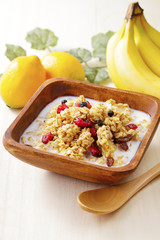 フルーツグラノーラ　Fruit granola