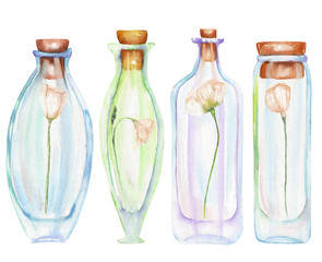 Illustration romantic and fairytale watercolor bottles with tender flowers inside, hand drawn isolated on a white background