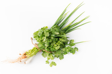  Spring onion and coriander