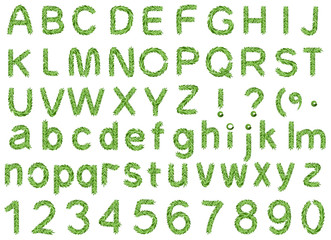 Spruce alphabet isolated on white background. Letter fir branch and pine number