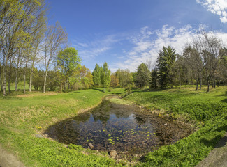 Fototapeta na wymiar pond in the woods