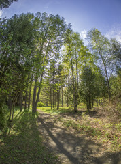 trail in Spring Park