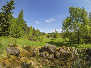 Ridge stones in a park in spring