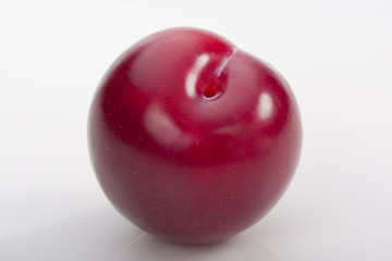 Red plum on white background