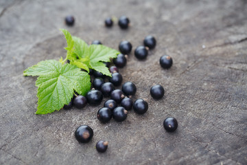 Black currant on wooden table with leaf sprig