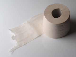 toilet paper on a light background