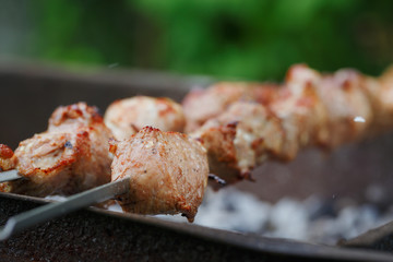 Barbecue with delicious grilled meat on grill