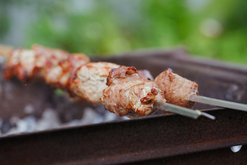 Barbecue with delicious grilled meat on grill