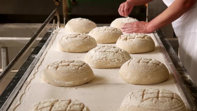 Female baker making traditional pattern on the raw ball dough bread. Bakehouse