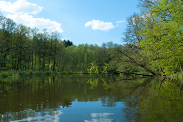 Fototapeta na wymiar River and spring forest
