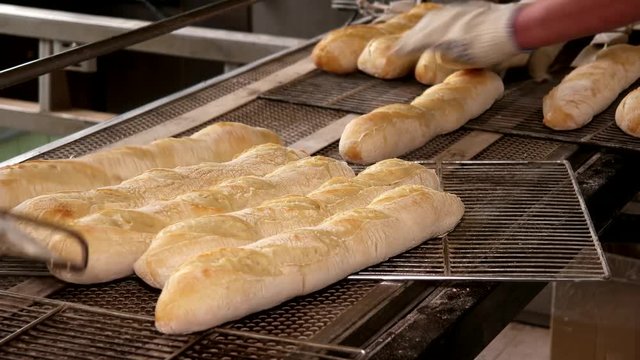 Manufacture of bread, hot white baguette placing to the iron trays, closeup