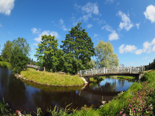 Fototapeta na wymiar Bridge over the river in the park