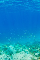 vacation on island in sea
