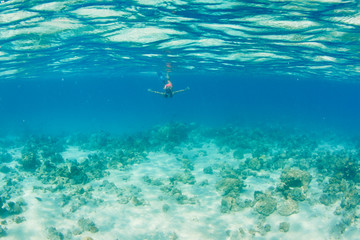 Fototapeta premium vacation on island in sea