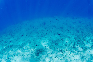 wonderful underwater worl