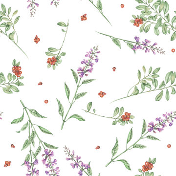 Seamless floral pattern with cowberry and salvia flowers, hand drawn in watercolor on a white background