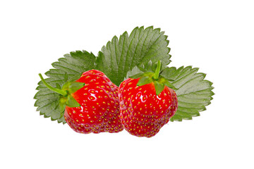 Ripe red strawberries with leaves on isolated background