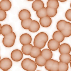 Pathogenic  bacterias or virus spheres in light liquid