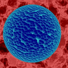 Infection, bacterias or virus spheres in animal blood.