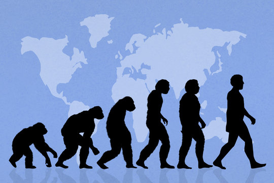 Human evolution