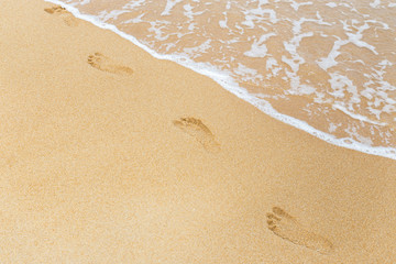 footprints in wet sand on the beach