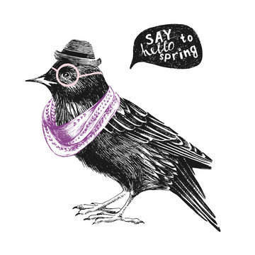 dressed up starling
