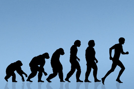 human evolution running