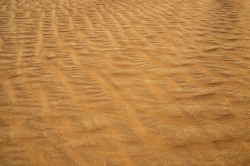 The yellow sand surface of the desert. The wind sweeps the sand,