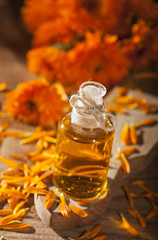 Marigold Essential Oil