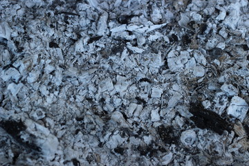 Ash from burnt firewood - Texture of the ashes
